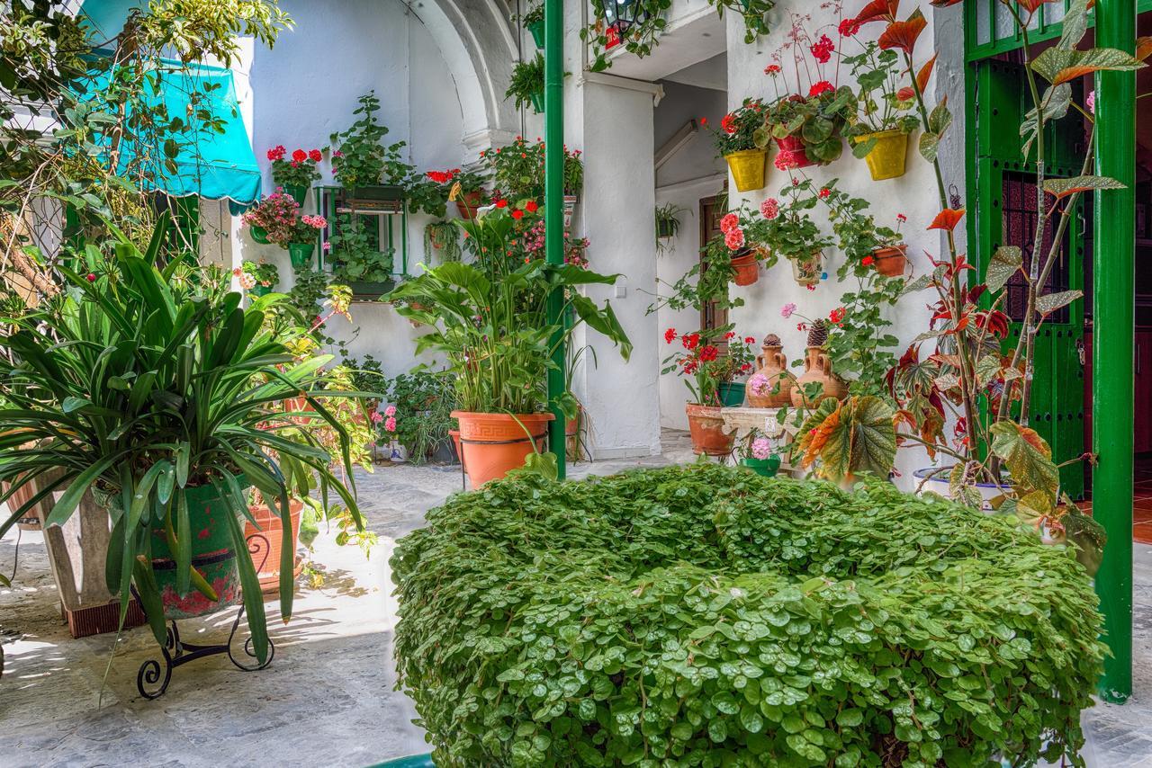 Jerez Apartment *