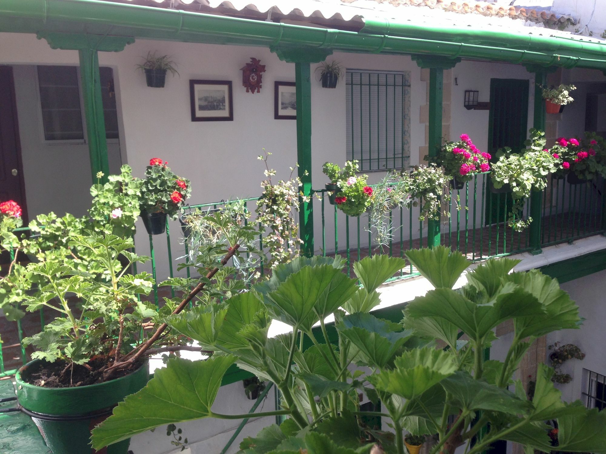 Jerez Apartment